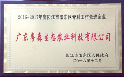 陽(yáng)東區(qū)專利優(yōu)秀工作先進(jìn)單位